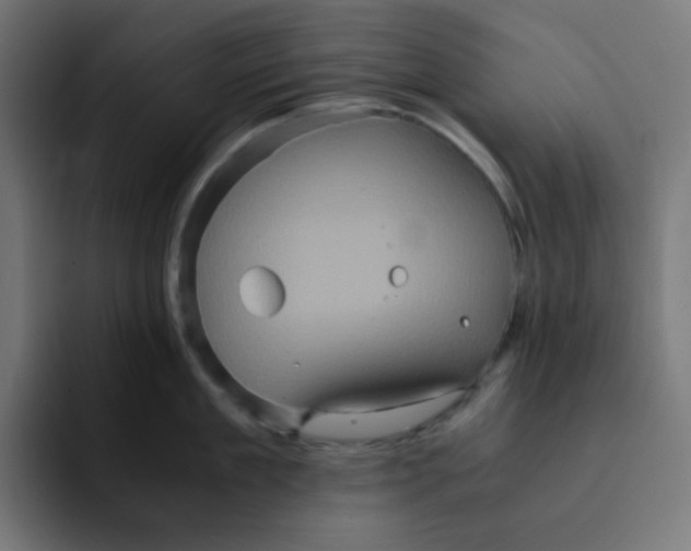 X0000092020909200710041041