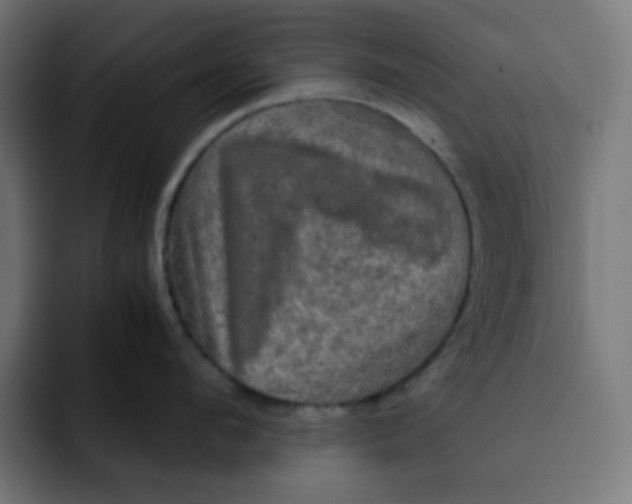 X0000092020912200710041041