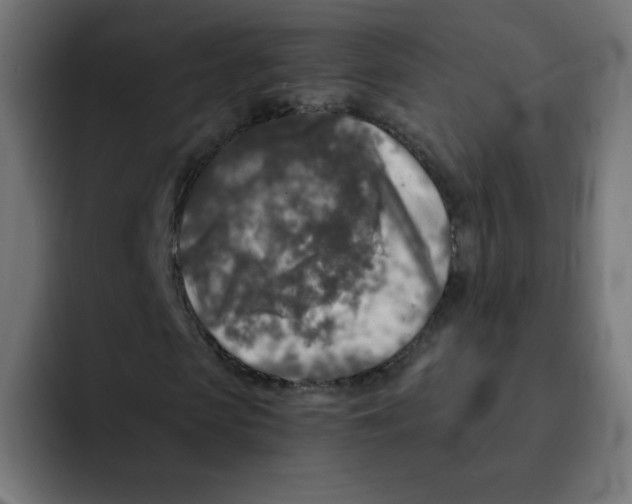 X0000092020913200710041041