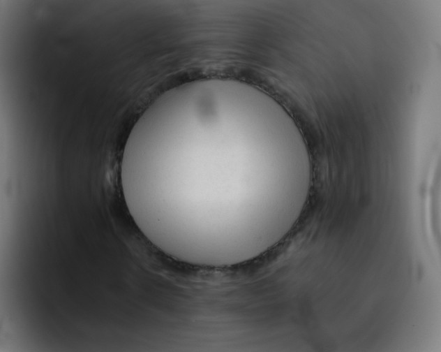 X0000092020914200710041041