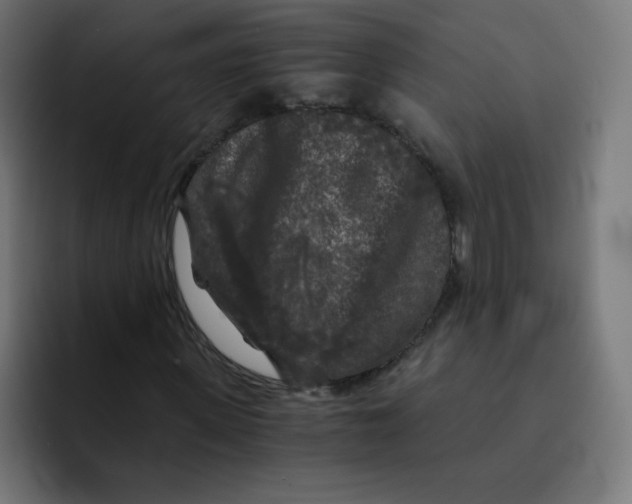 X0000092020915200710041041