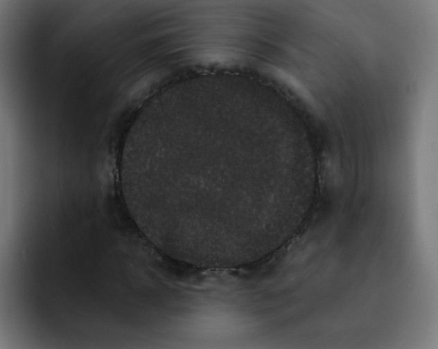 X0000092020918200710041041