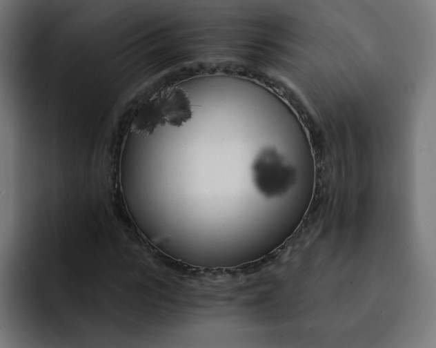 X0000092020919200710041041