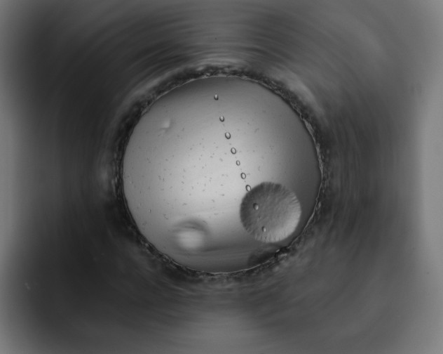 X0000092020920200710041041