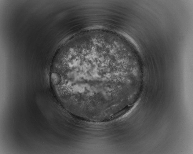 X0000092020921200710041041