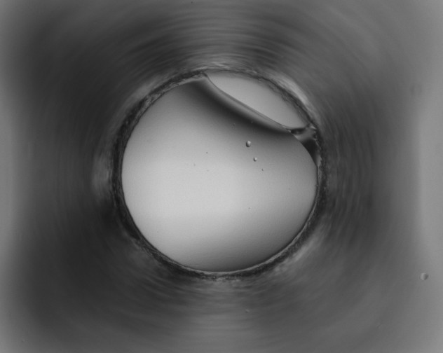 X0000092020922200710041041