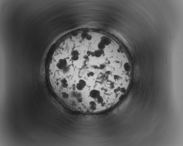 X0000092020923200710041041