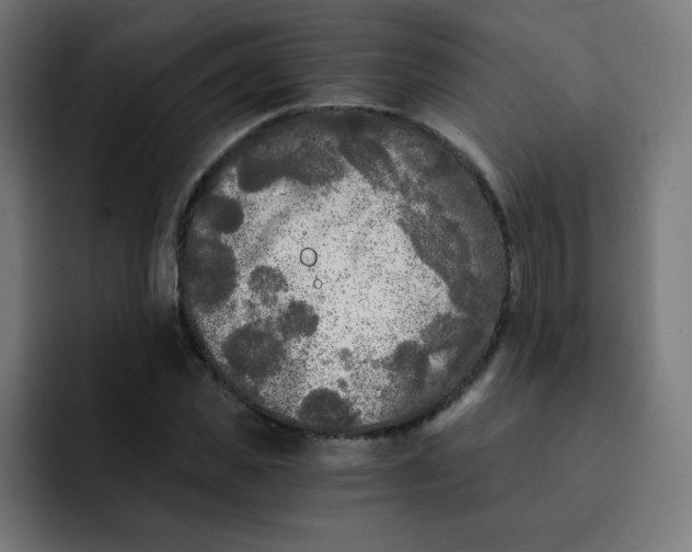 X0000092020925200710041041