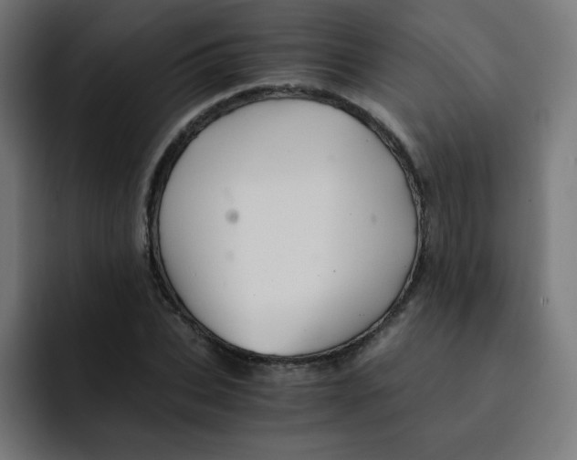 X0000092020927200710041041