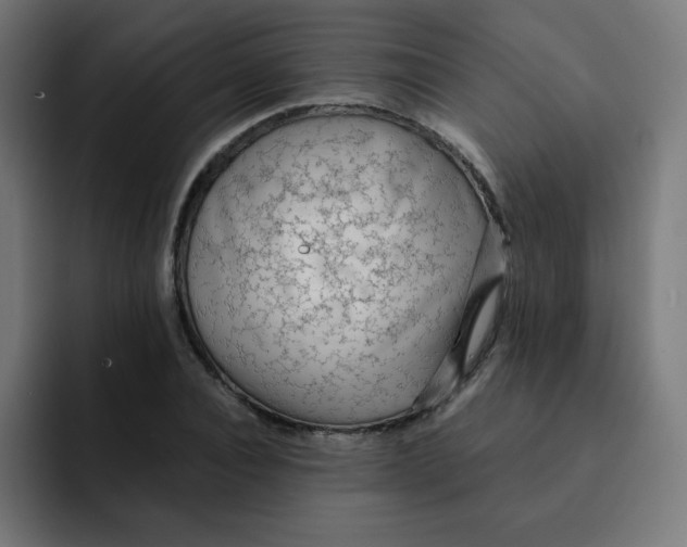 X0000092020928200710041041