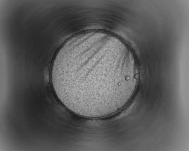 X0000092020929200710041041