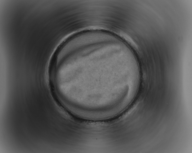 X0000092020934200710041041