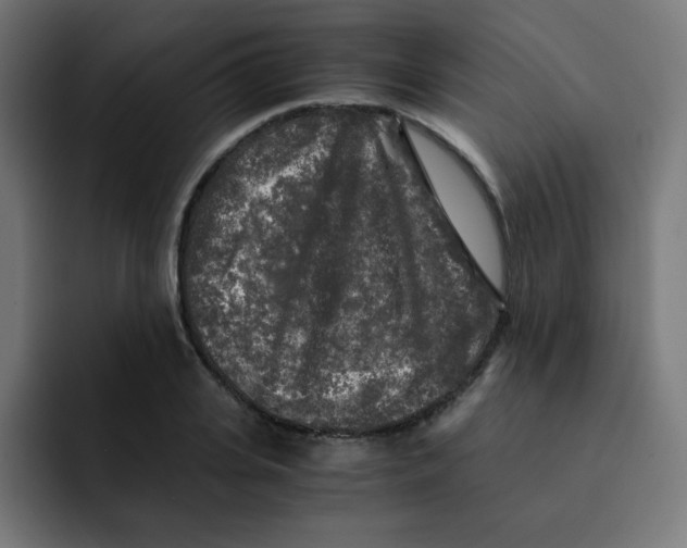 X0000092020935200710041041