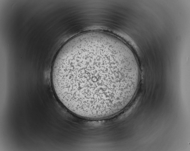 X0000092020937200710041041