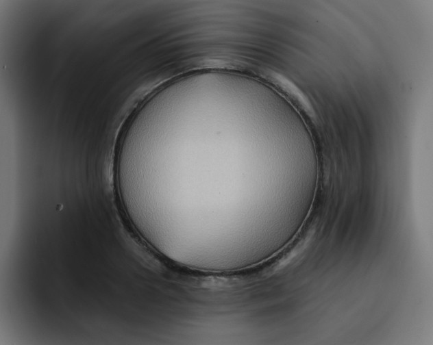 X0000092020938200710041041