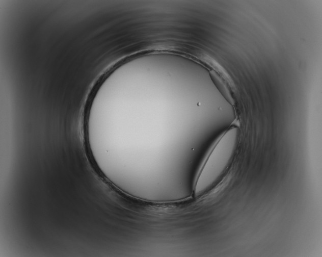 X0000092020939200710041041