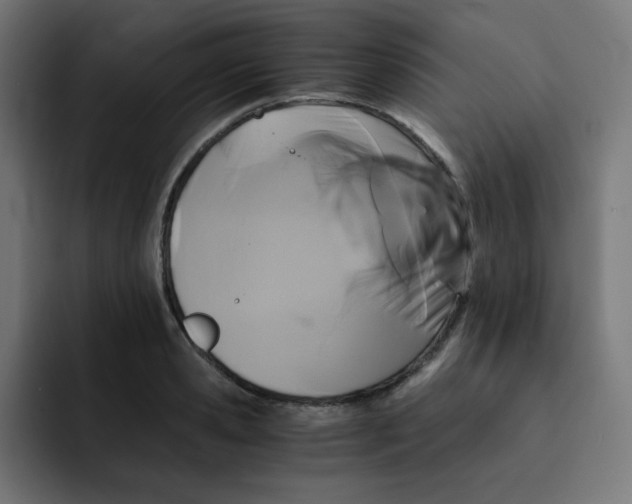 X0000092020941200710041041