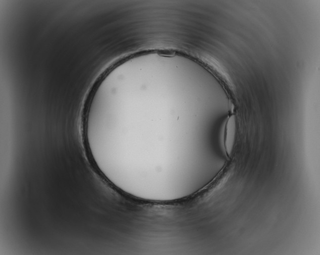 X0000092020942200710041041