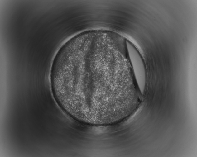 X0000092020943200710041041