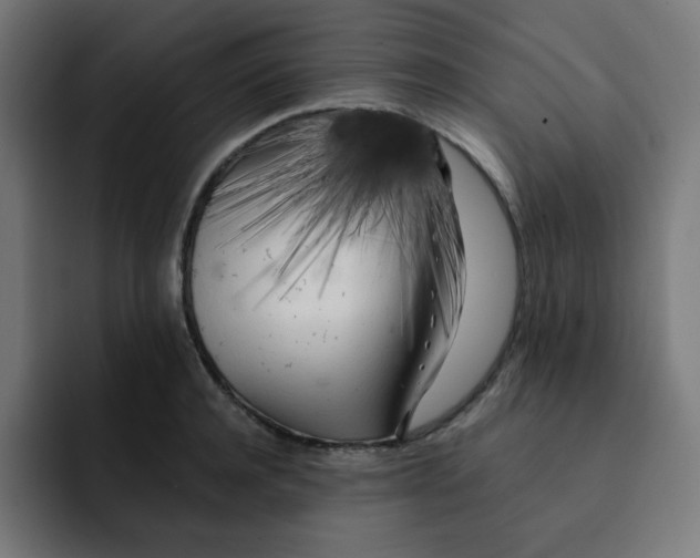 X0000092020944200710041041