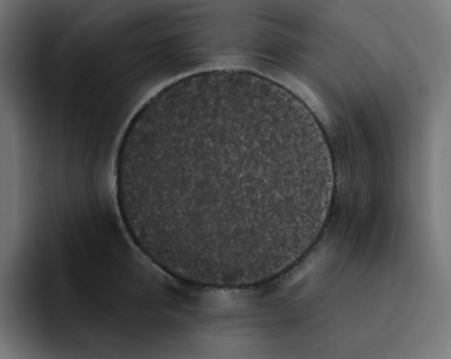 X0000092020950200710041041