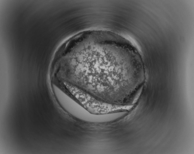 X0000092020952200710041041