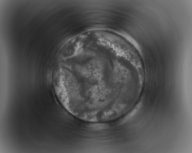 X0000092020953200710041041