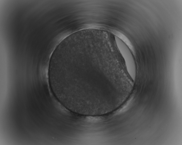 X0000092020954200710041041