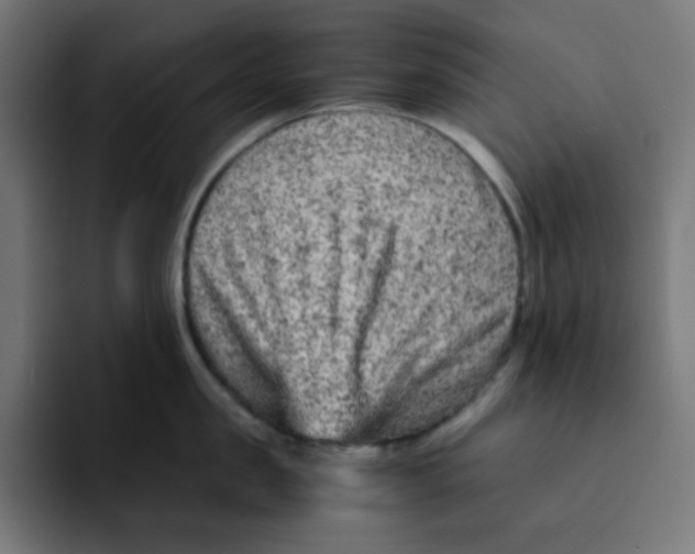 X0000092020957200710041041