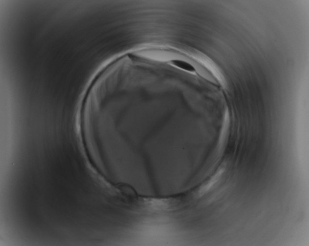 X0000092020958200710041041