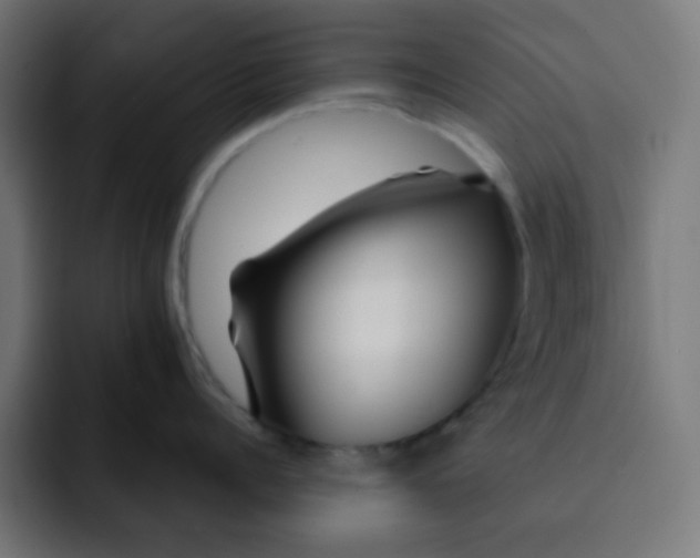 X0000092020960200710041041