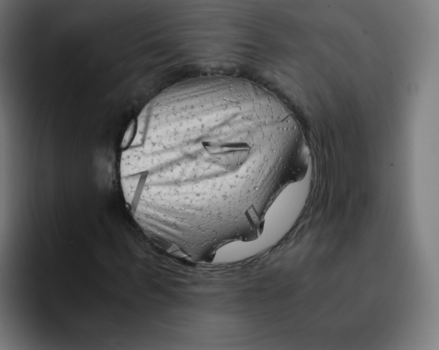 X0000092020963200710041041