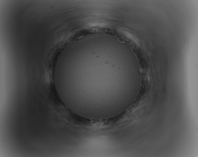 X0000092020965200710041040