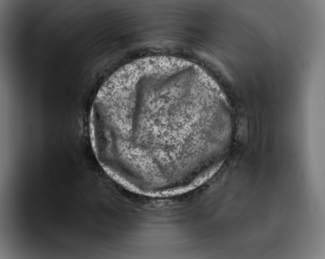 X0000092020966200710041040