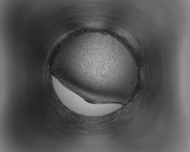 X0000092020968200710041040