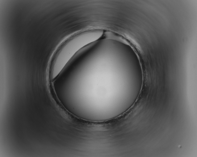 X0000092020976200710041040