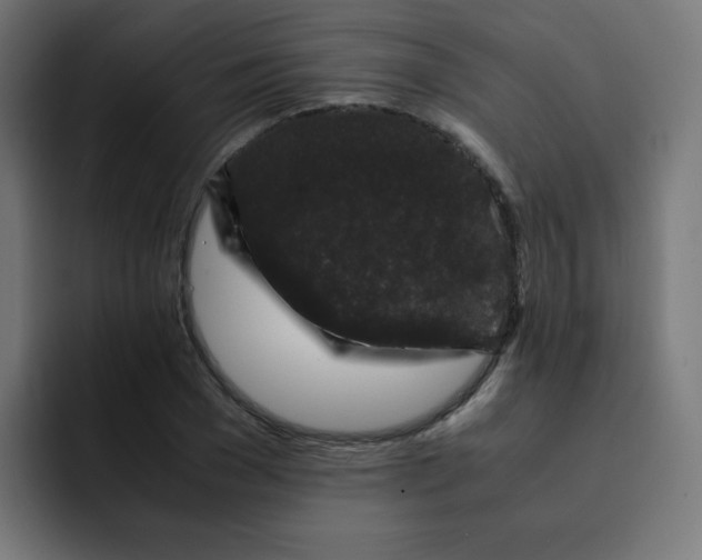 X0000092020977200710041040