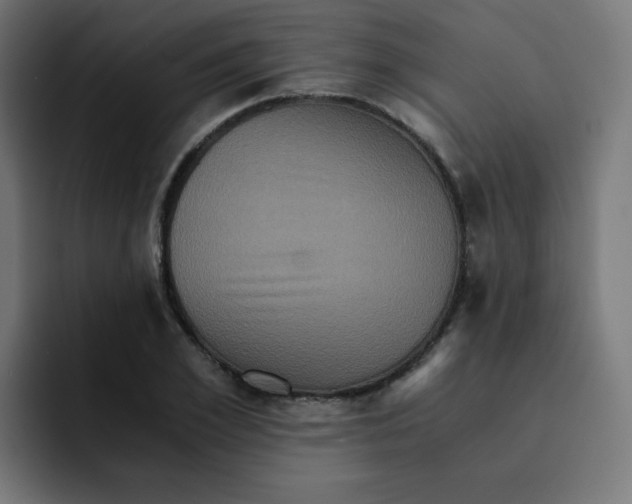 X0000092020981200710041040