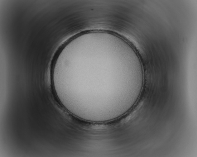 X0000092020982200710041040