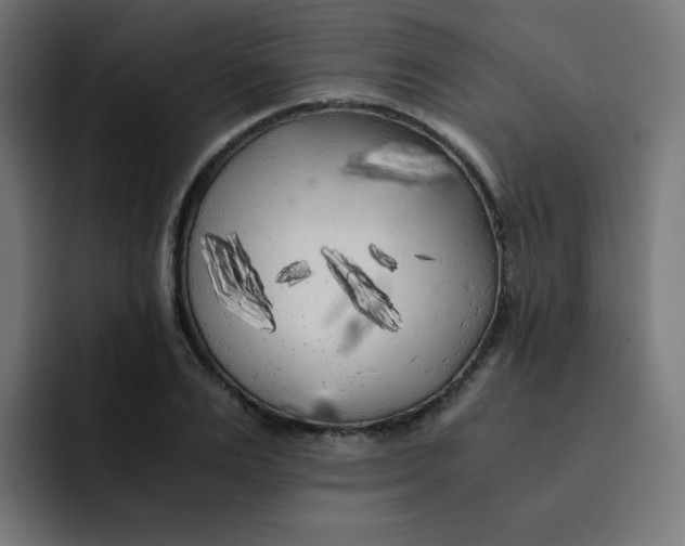 X0000092020983200710041040