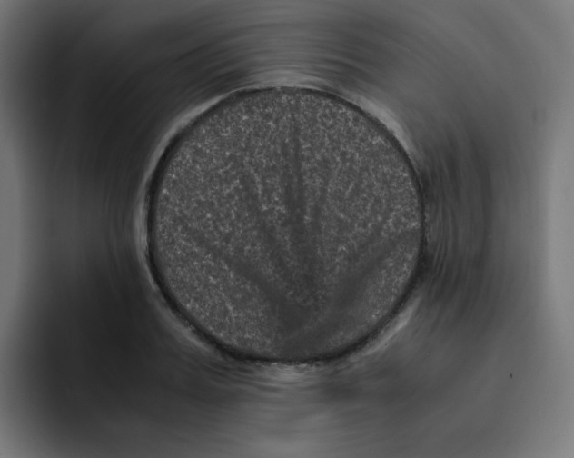 X0000092020987200710041040