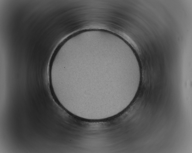 X0000092020988200710041040