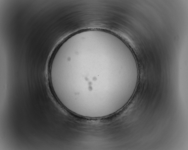 X0000092020990200710041040