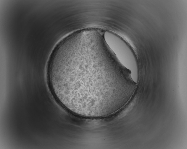 X0000092020991200710041040