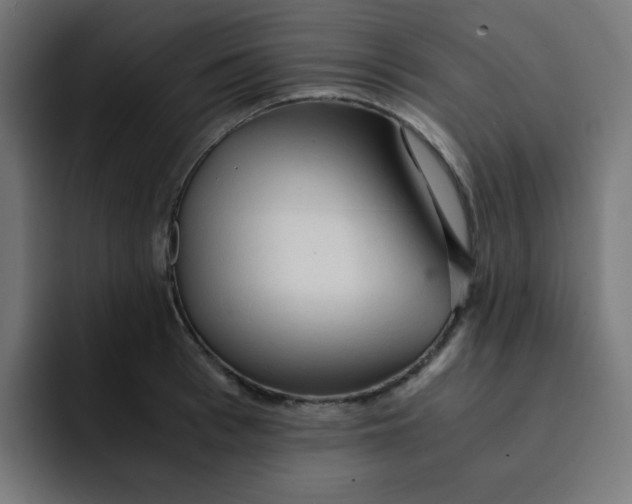 X0000092020993200710041040