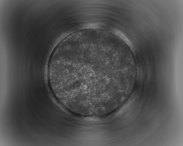 X0000092020994200710041040