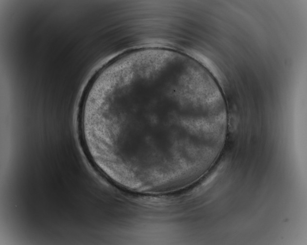 X0000092020995200710041040