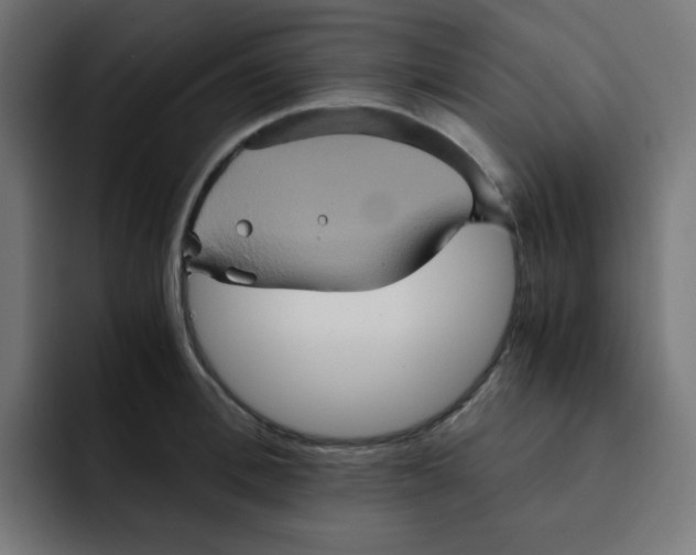 X0000092020996200710041040