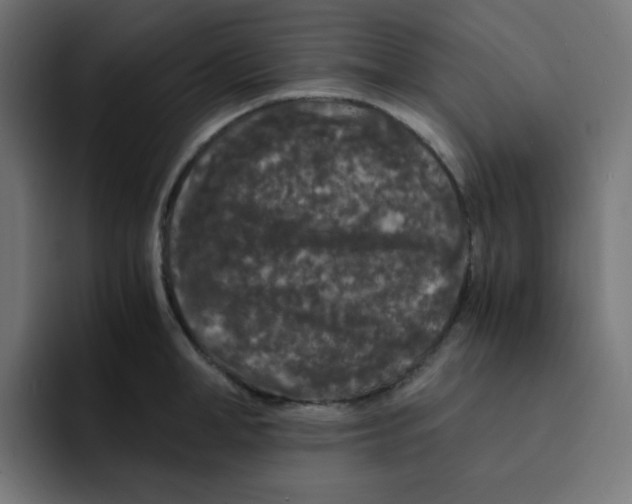 X0000092020998200710041040