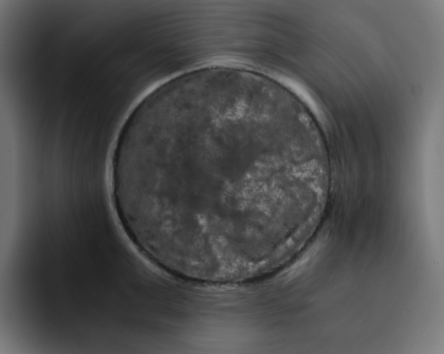 X0000092020999200710041040